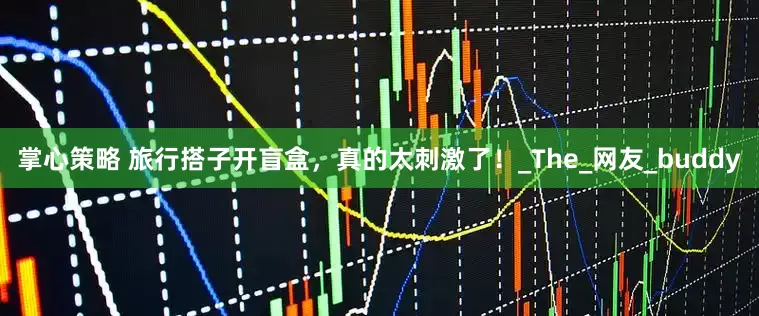 掌心策略 旅行搭子开盲盒，真的太刺激了！_The_网友_buddy