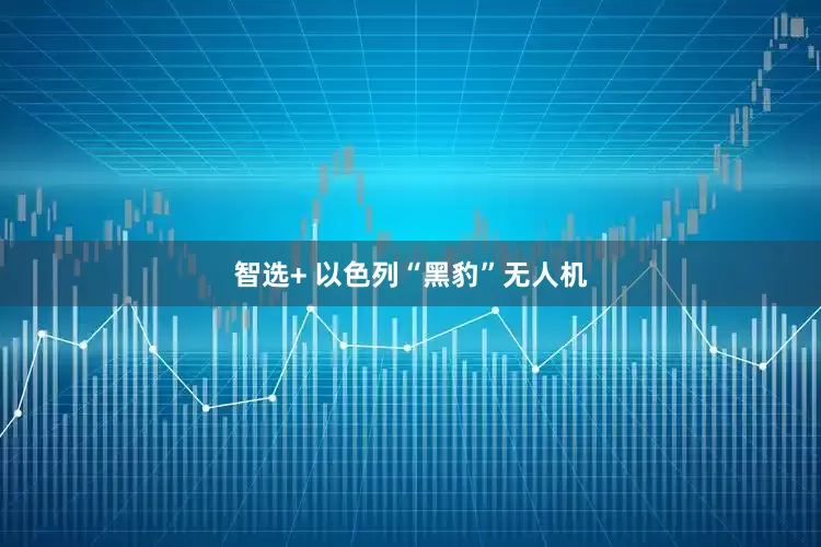 智选+ 以色列“黑豹”无人机