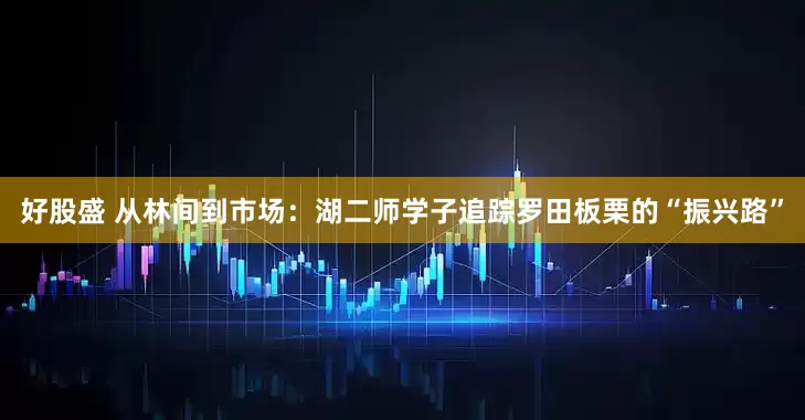 好股盛 从林间到市场：湖二师学子追踪罗田板栗的“振兴路”