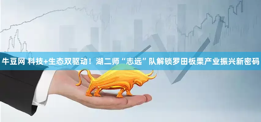 牛豆网 科技+生态双驱动！湖二师“志远”队解锁罗田板栗产业振兴新密码