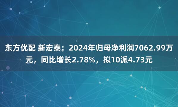 东方优配 新宏泰：2024年归母净利润7062.99万元，同比增长2.78%，拟10派4.73元
