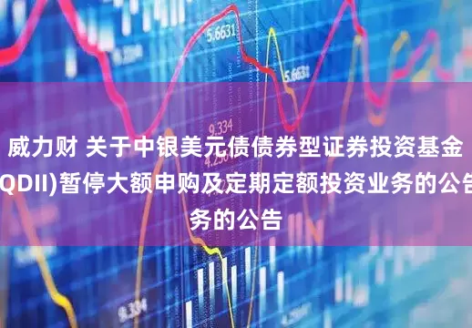 威力财 关于中银美元债债券型证券投资基金(QDII)暂停大额申购及定期定额投资业务的公告