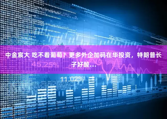 中金宸大 吃不着葡萄？更多外企加码在华投资，特朗普长子好酸…